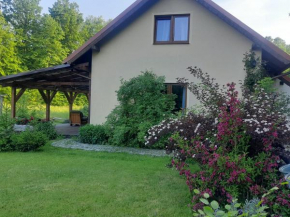 Majcia, Jelenia Góra
